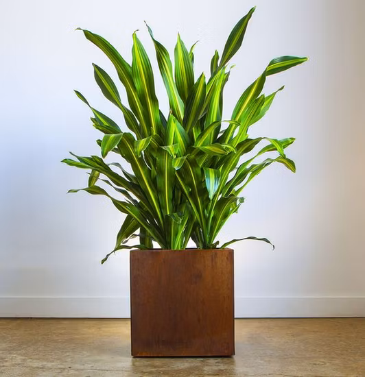 Corten Steel Flower Pot Large Vertical Planter Corten Steel Garden Edging Round Corten Steel Planter